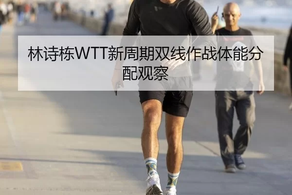 林诗栋WTT新周期双线作战体能分配观察
