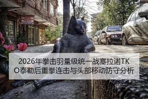 2026年拳击羽量级统一战塞拉诺TKO泰勒后重拳连击与头部移动防守分析
