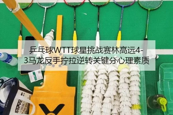 ping-pang-qiu-qiu-xing-tiao-zhan-sai-lin-gao-yuan-ma-long-fan-shou-ning-la-ni-zhuan-guan-jian-fen-xin-li-su-zhi-3-848.jpg