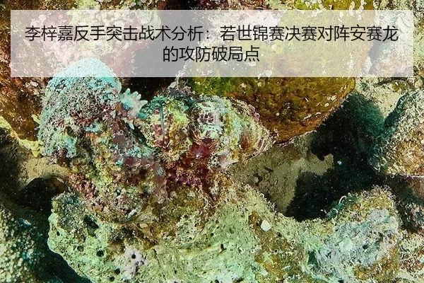 李梓嘉反手突击战术分析：若世锦赛决赛对阵安赛龙的攻防破局点